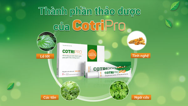 CotriPro giúp co trĩ và giảm đau rát nhanh chóng 1