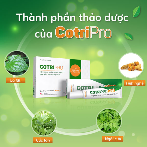 VI. Bộ đôi CotriPro - làm giảm đau rát và hỗ trợ co búi trĩ mức độ nhẹ 1