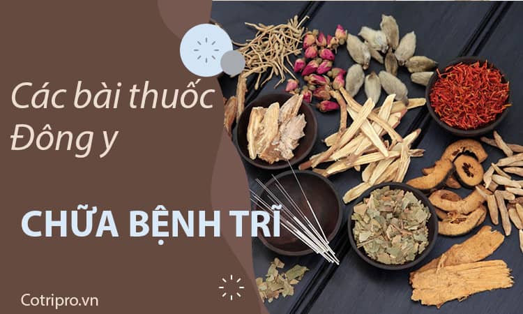 thuốc đông y điều trị bệnh trĩ