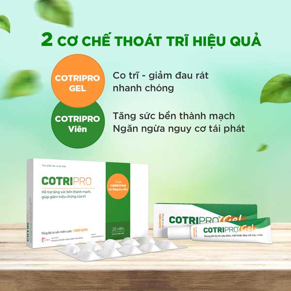 Cách sử dụng CotriPro để đạt hiệu quả tốt nhất 1