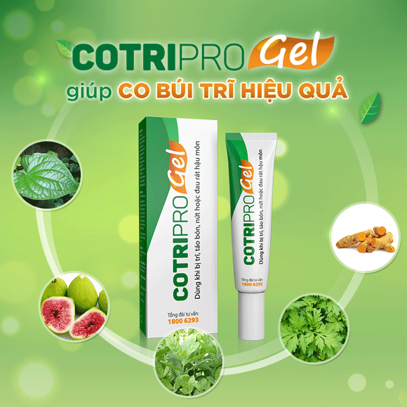 Tại sao Cotripro giúp co trĩ và giảm đau rát nhanh chóng? 1