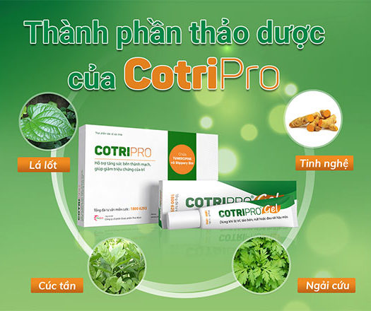 cỏ mần trầu chữa bệnh trĩ