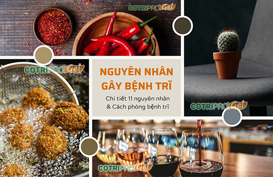 11 Nguyên nhân gây bệnh trĩ & cách phòng bệnh trĩ đơn giản!