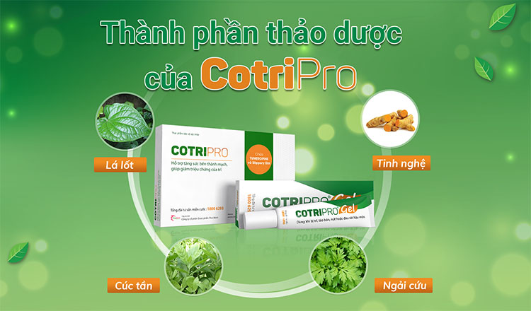 trĩ ngoại tắc mạch