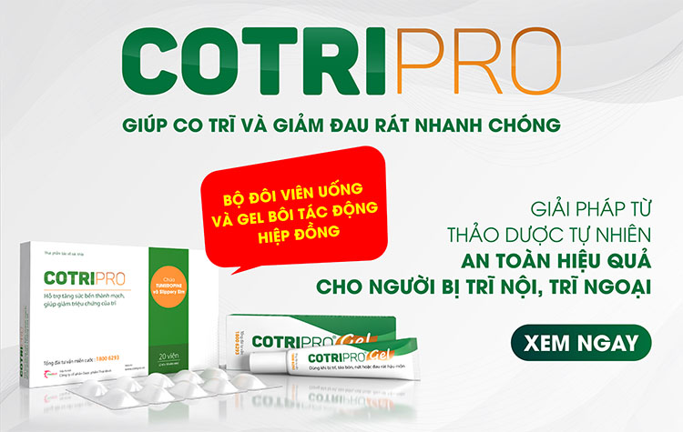 Cotripro giúp co nhỏ búi trĩ, giảm chảy máu do trĩ 1