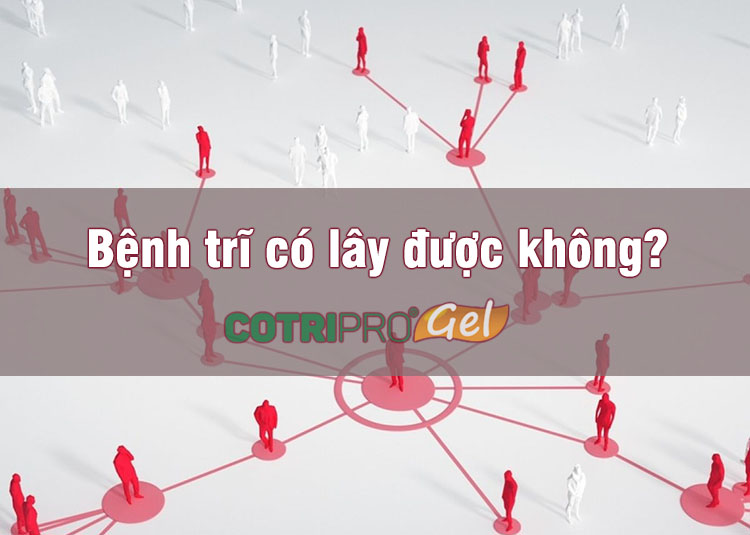 bệnh trĩ có lây không