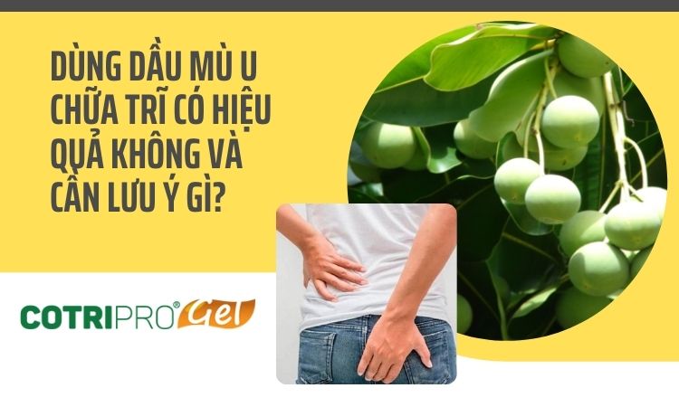 Dùng dầu mù u chữa trĩ có hiệu quả không và cần lưu ý gì?