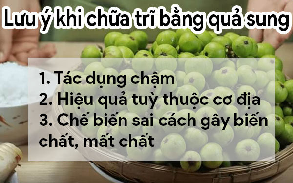 quả sung chữa bệnh trĩ