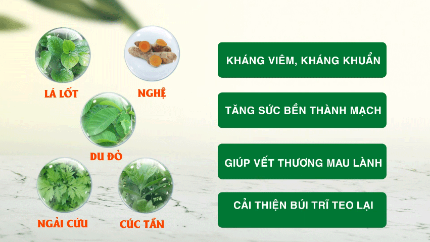 Điều trị Trĩ như thế nào cho đúng cách và hiệu quả? 1