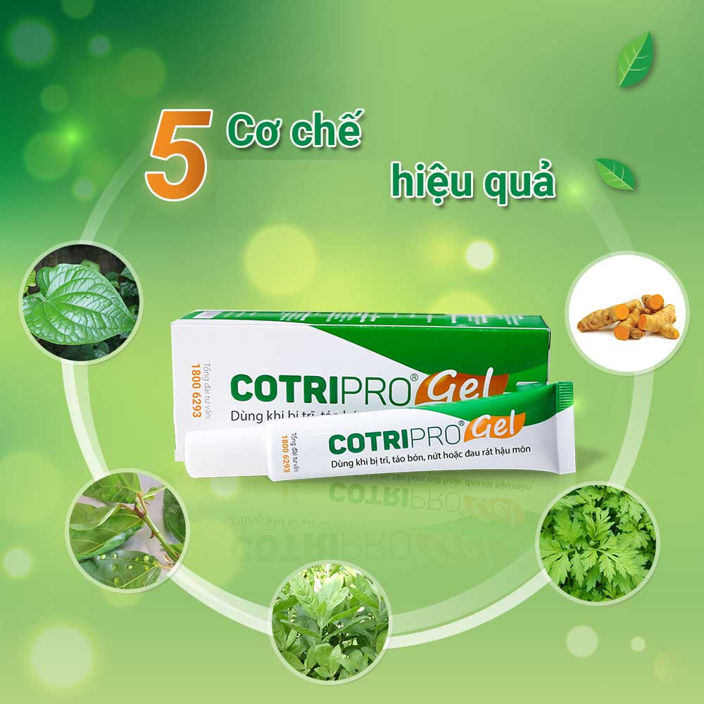 Tại sao Gel bôi CotriPro giúp co trĩ và giảm đau rát nhanh chóng? 1