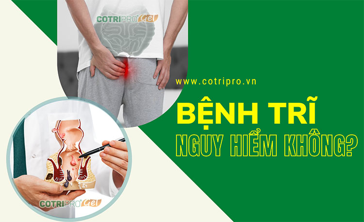 Bệnh trĩ có nguy hiểm không