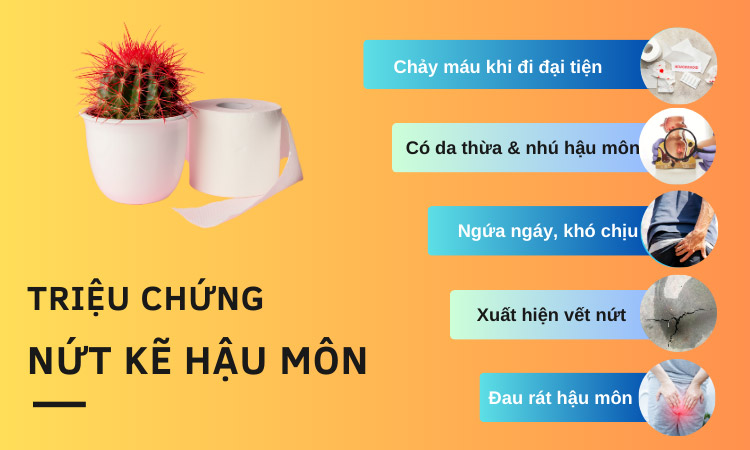 Triệu chứng nứt kẽ hậu môn