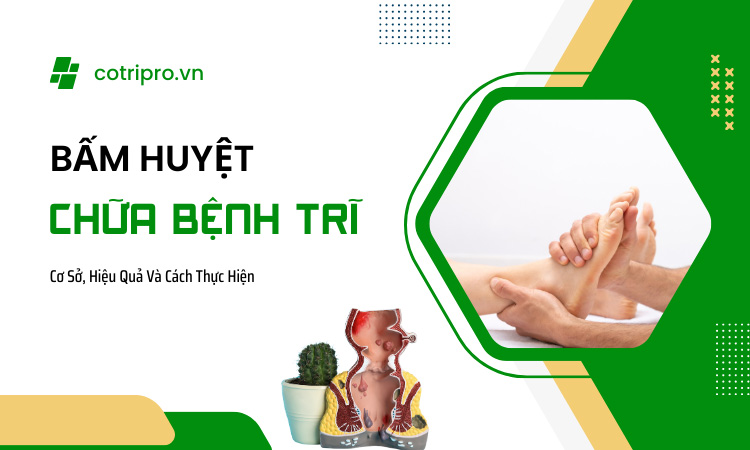 cách bấm huyệt chữa trị bệnh trĩ