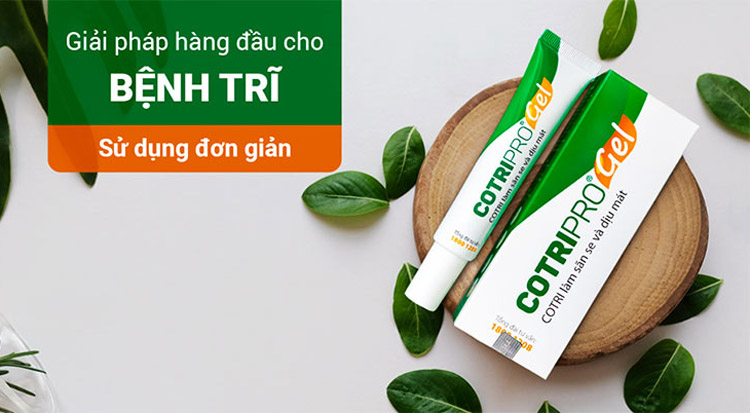 Chữa trĩ bằng phèn chua