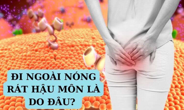 Đi ngoài bị nóng rát hậu môn là bệnh gì? Cách điều trị