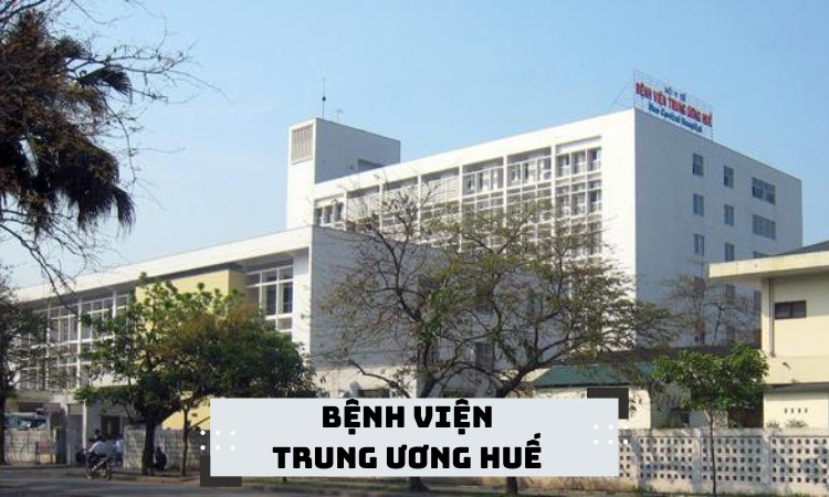 Khám trĩ tại bệnh viện TW Huế