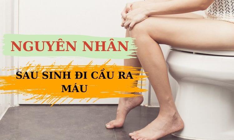 Phụ nữ sau sinh đi cầu ra máu có sao không? Cách điều trị